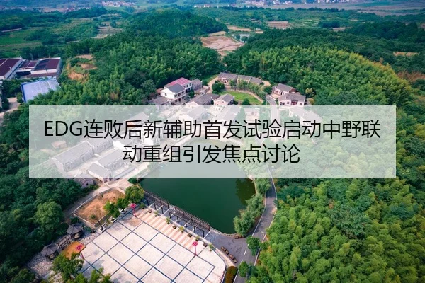 EDG连败后新辅助首发试验启动中野联动重组引发焦点讨论