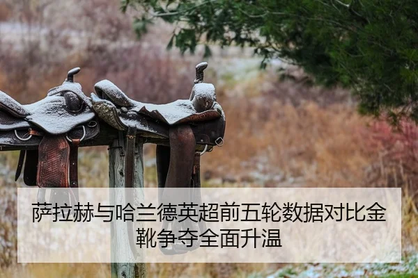 萨拉赫与哈兰德英超前五轮数据对比金靴争夺全面升温（www.jiuyou.conapp）